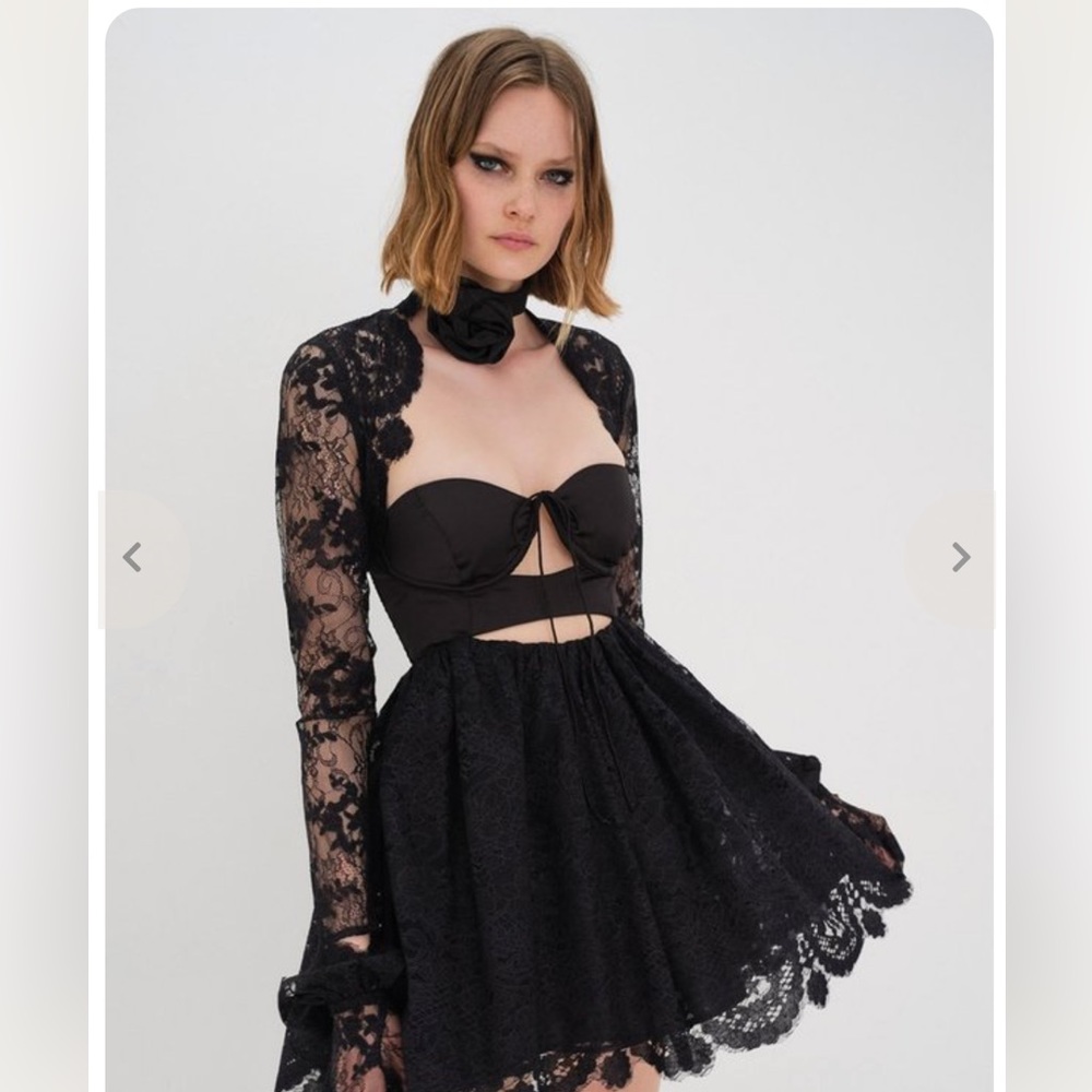 For Love & Lemons Regina Dress